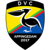 logo dvc appingedam