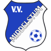 logo middelstum